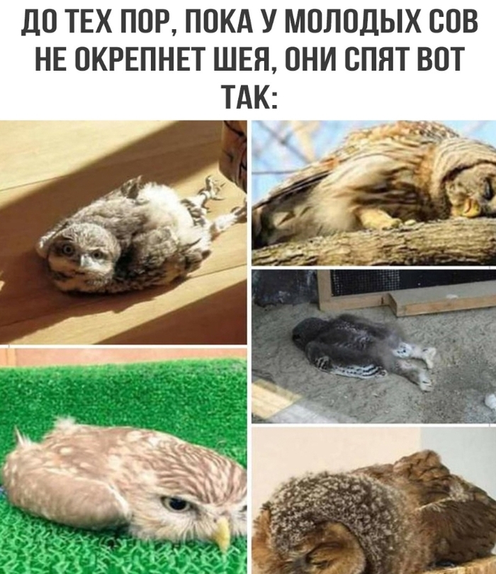  ...  , , , , , 