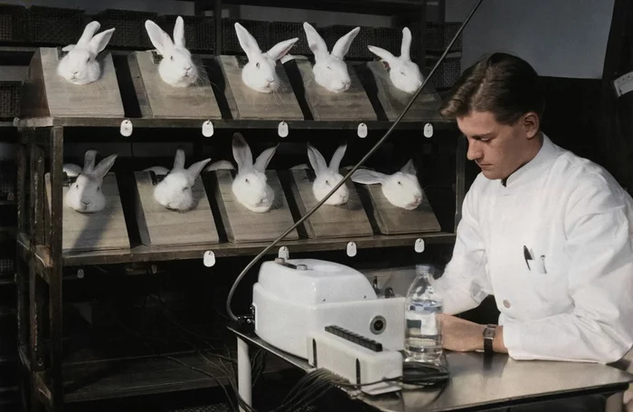 Подборка фотографий из прошлого, которые заставляют удивиться. 20 раскрашенных фотографий из XIX-ХХ века. Часть 19 Историческое фото, Старое фото, Фотография, 20 век, Колоризация, Длиннопост