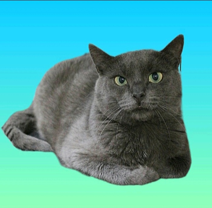    .    .     ,   ,  ,  , , ,  , 