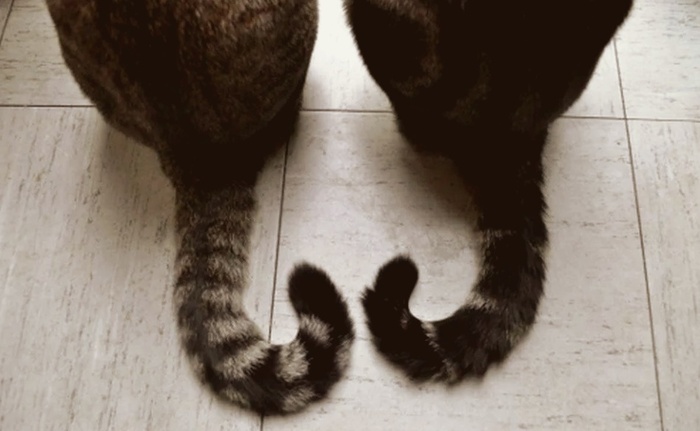     : 7 ,      , , , ,    , , , , ,   ()