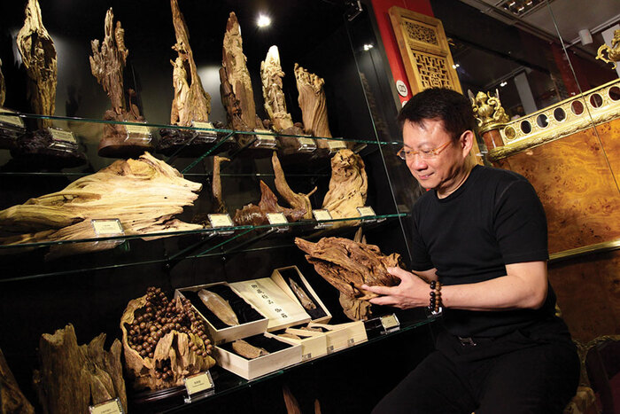 Коллекция изделий из агарвуда в Новом Императорском художественном музее Гонконга. Фото с сайта <!--noindex--><a href="https://pikabu.ru/story/aloynoe_derevo_ud_12848939?u=http%3A%2F%2Fjetsetmag.com&t=jetsetmag.com&h=6fab97923688e6861fd2ff3ba0840e5e09cb7ed5" title="http://jetsetmag.com" target="_blank" rel="nofollow noopener">jetsetmag.com</a><!--/noindex-->.