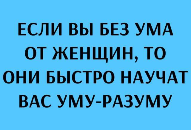     ,   , , , , , Telegram ()