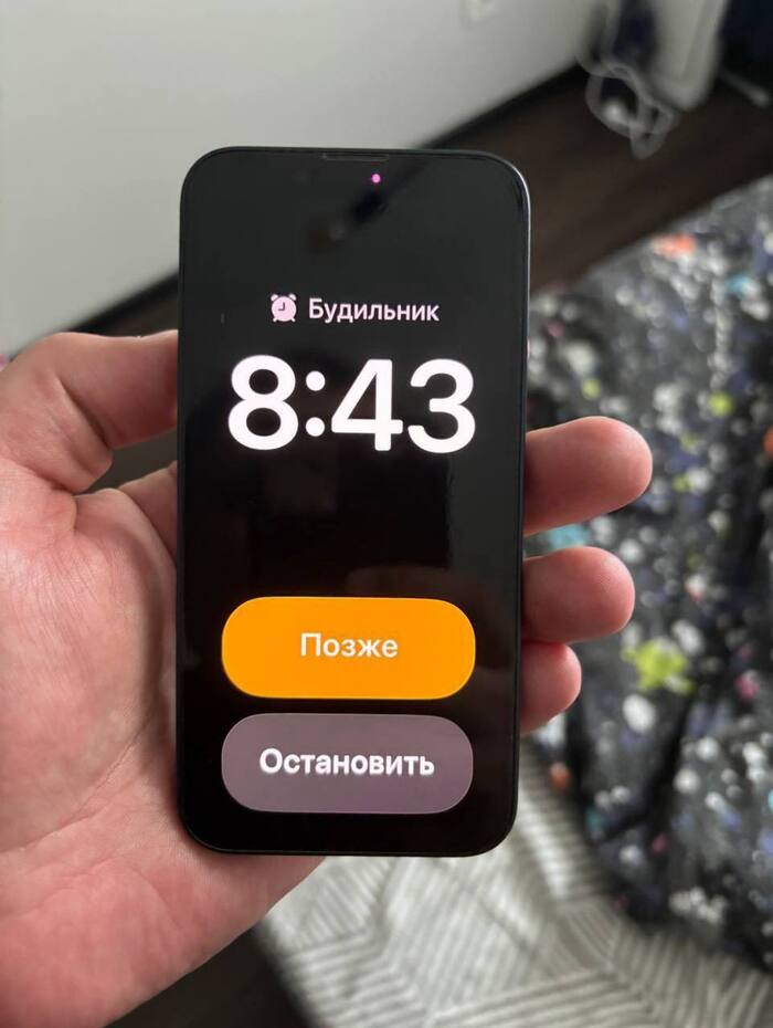 IPhone   , , , , iPhone, 