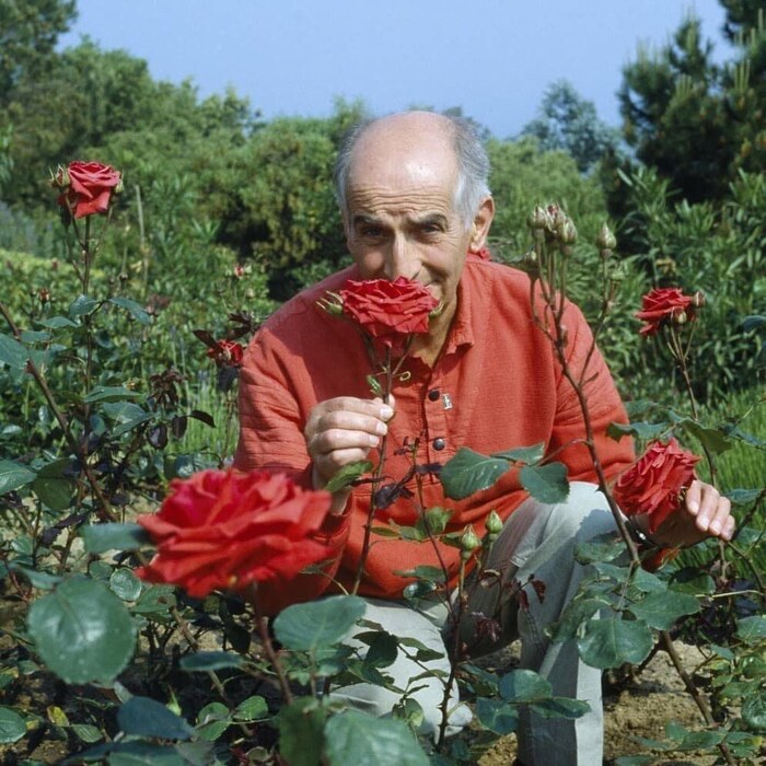 Луи де Фюнес