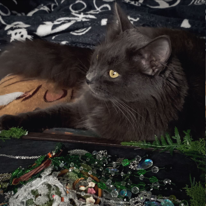 Охраняет готовые работы, чтобы я опять не утащила их на фестивали =)