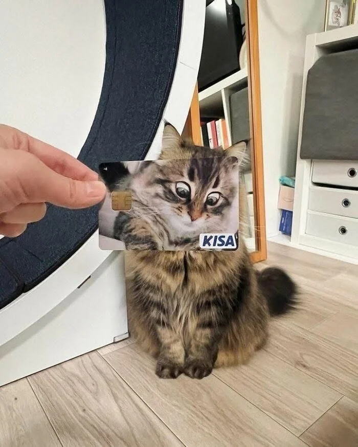     ,  ,   