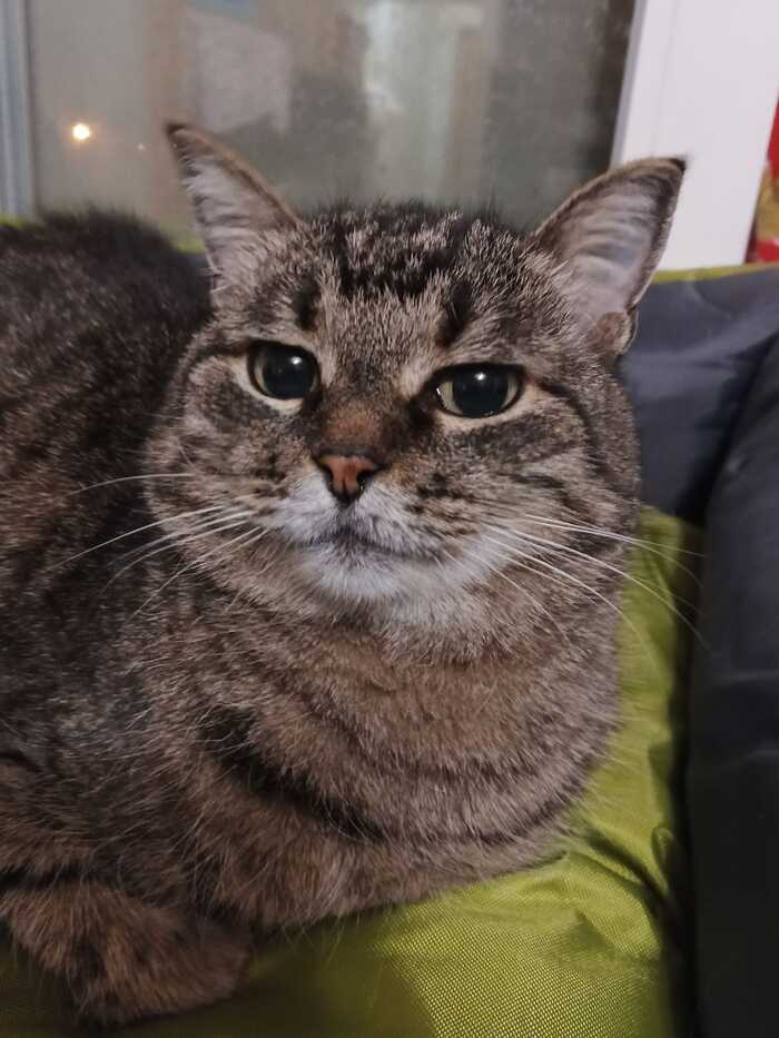         ,     ,    , ,  , ,   , 