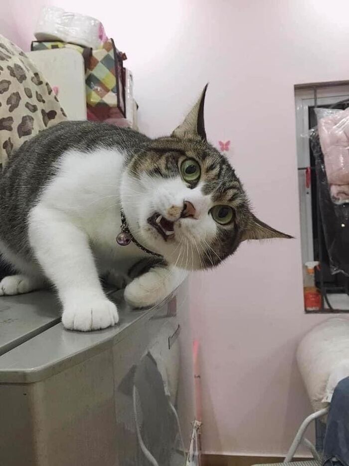   ,   ,  , , , , , , ,  , ,   , 