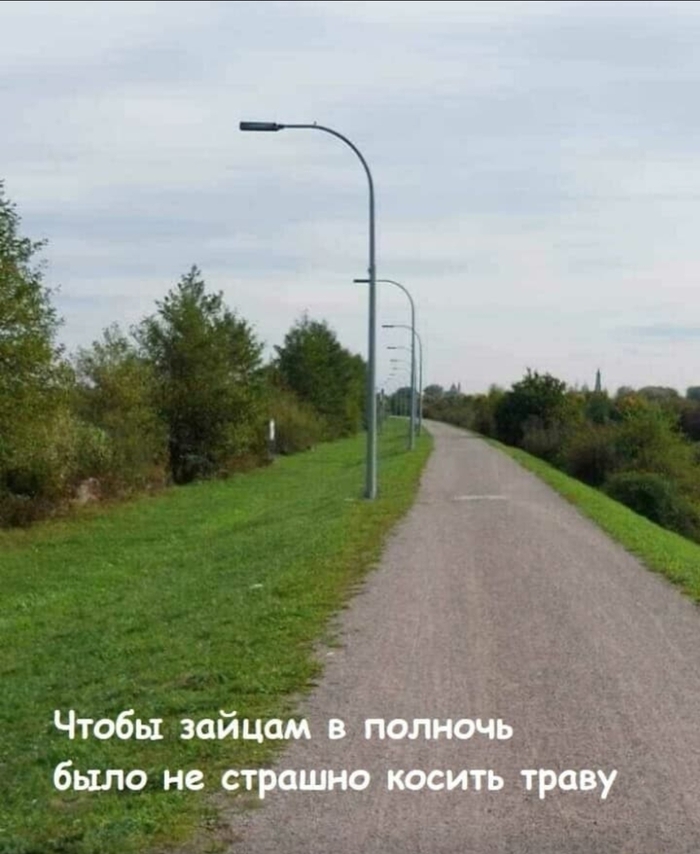 Когда работаешь дорожником, но природу любишь больше чем работу