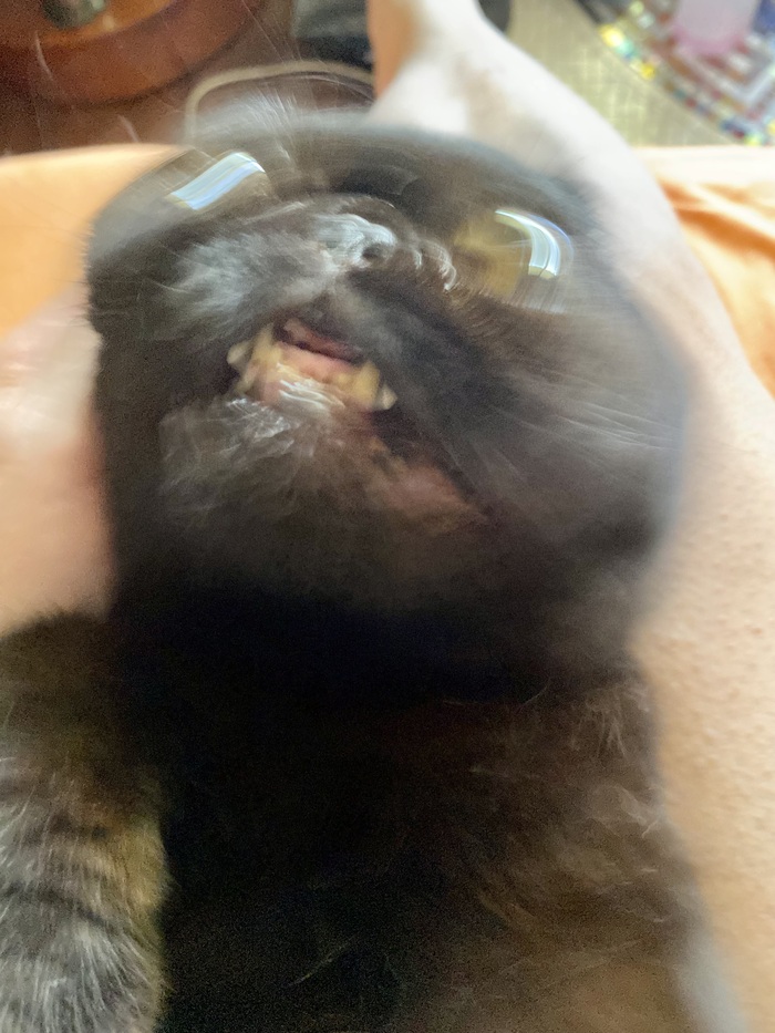   , , 