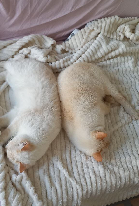      , , , , 
