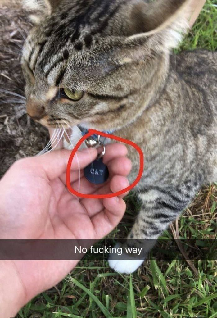  ,   , 