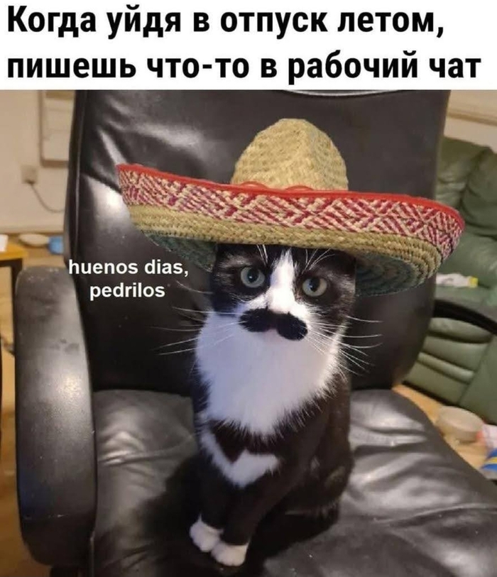   ,  , , , , Telegram (), , 