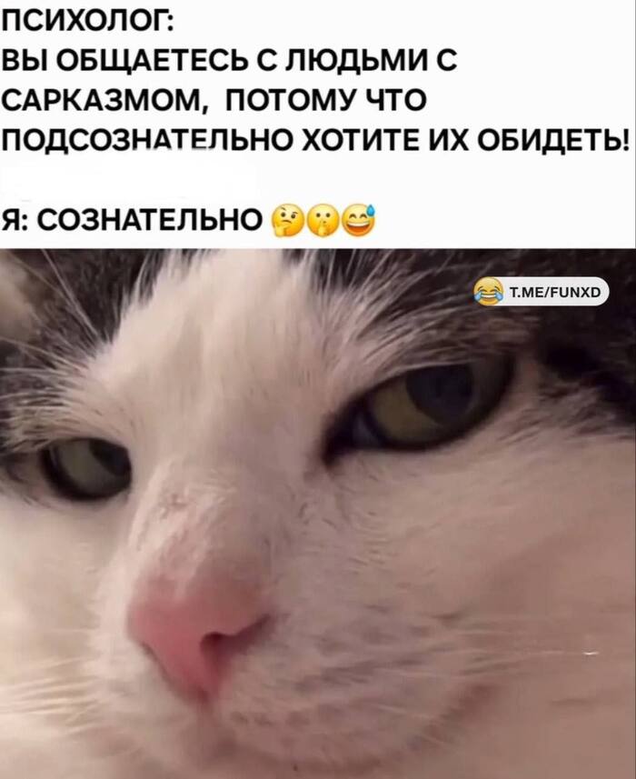   ,   , 