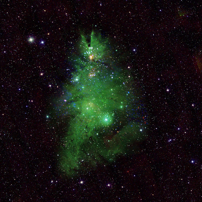  " ".   NGC 2264 , , NASA, ,  ,   ()
