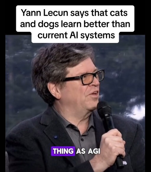 Разве можно было заранее представить, что публично обличающий LLM как тупиковую ветвь ИИ Ян Лекун (главный AI-щик в Мете) в итоге сделает посредственную языковую модель??