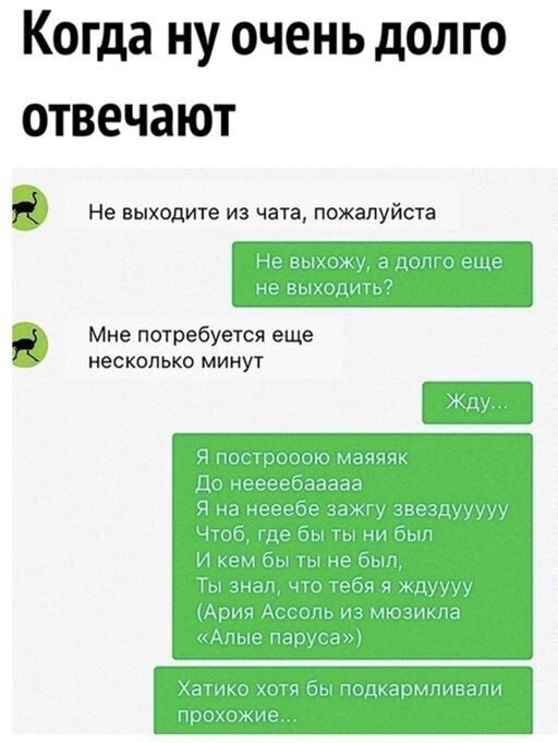 Ничего, мы подождём