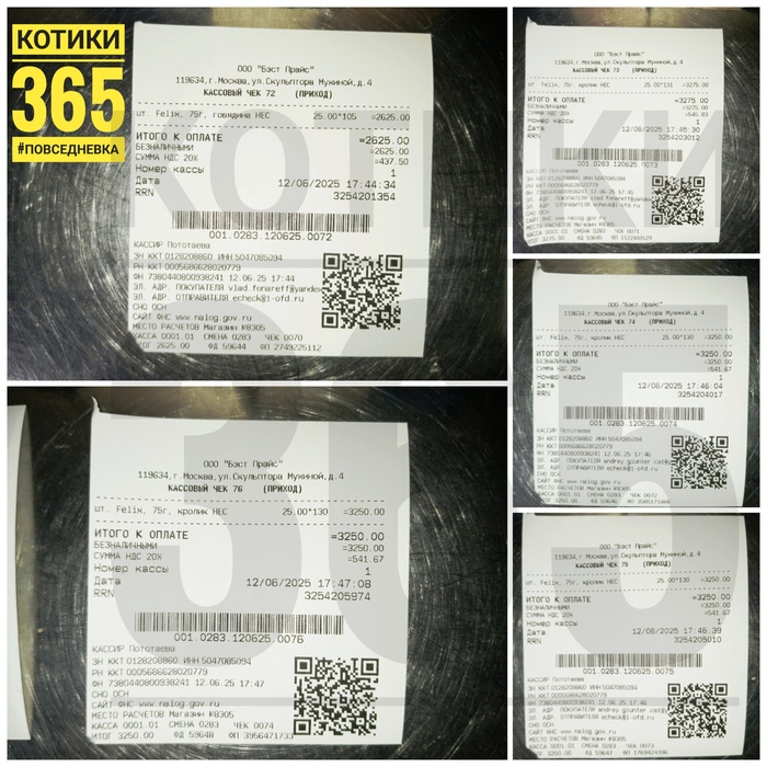 Павлик 12.06.2025