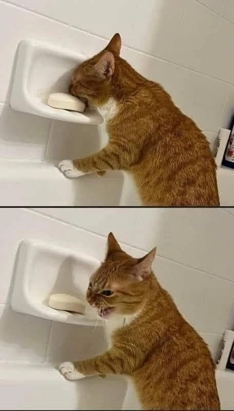       , , ,  , , ,  ,  