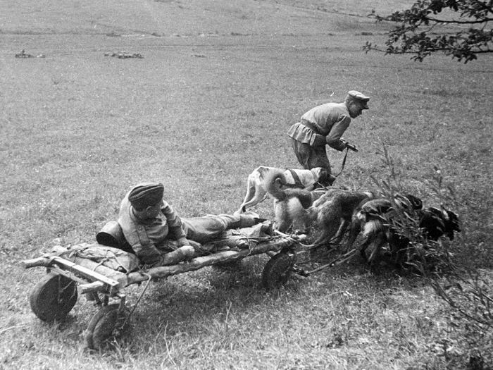   , , , .    ,     .     .         .   .