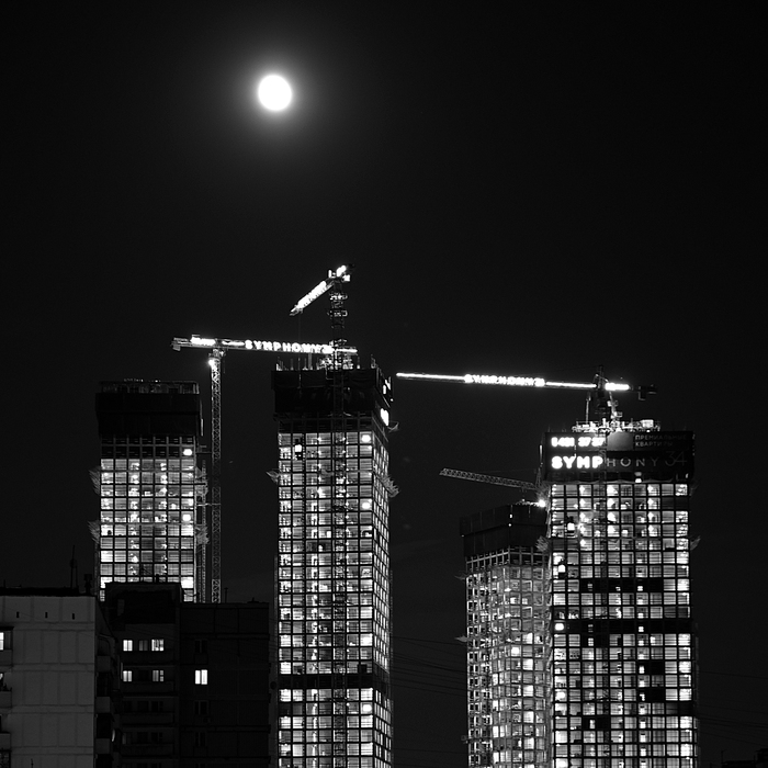   (6) , Nikon,  