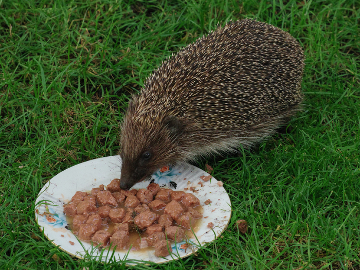      ,   !  ,   .  , , , .       !