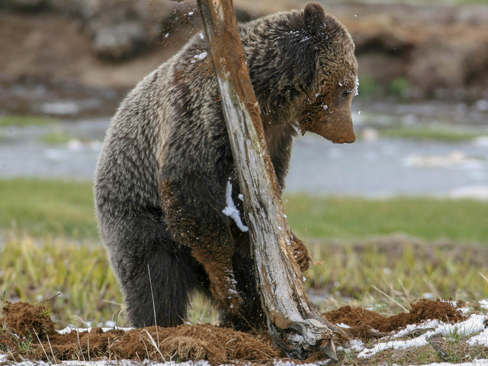      ,      . ,     ,   .