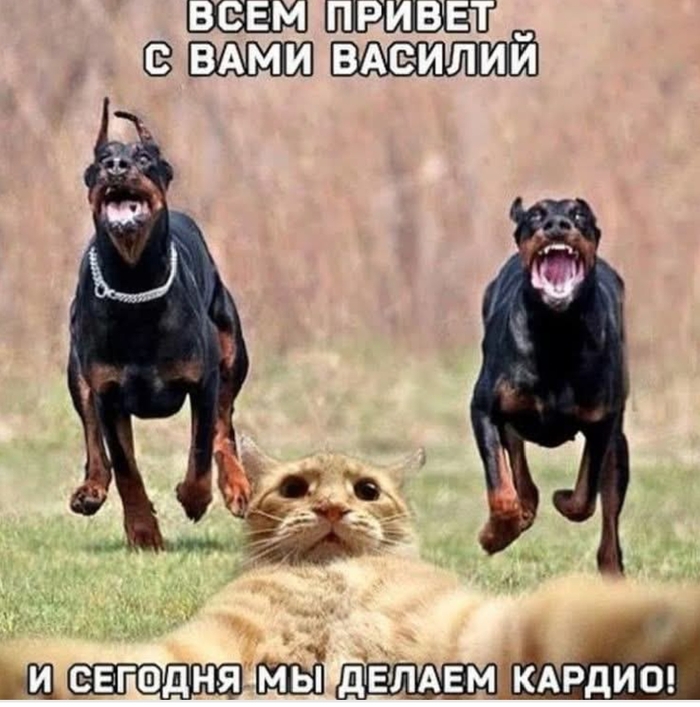   , , , , 