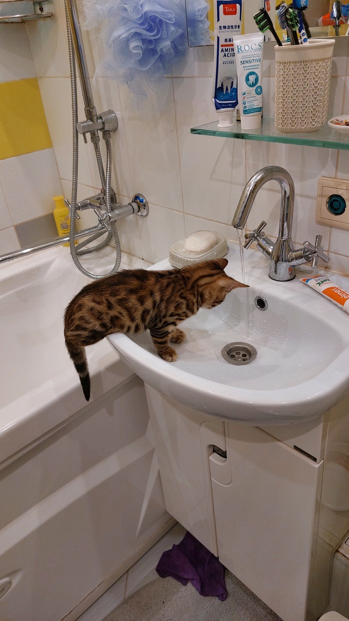 ������� ������� - �������� ��� ����� ����😂