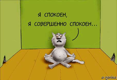  :   ,       ! , , , , , , , , , , 