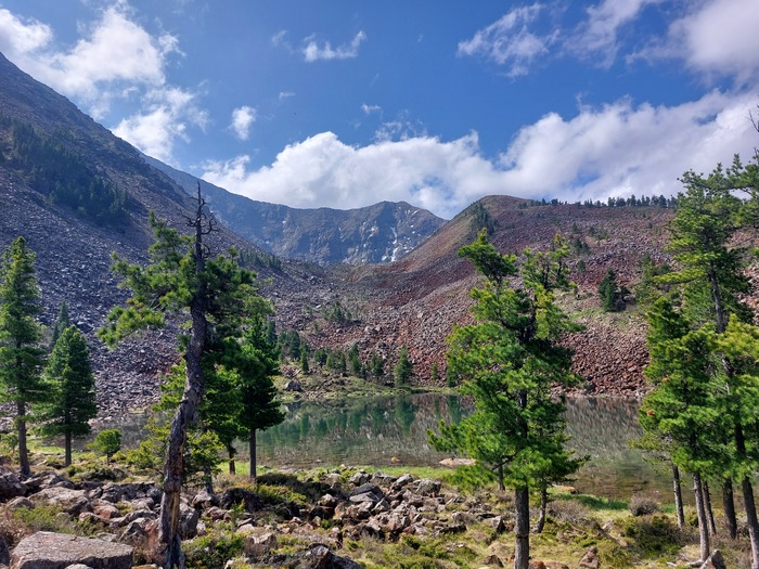 ����� ������