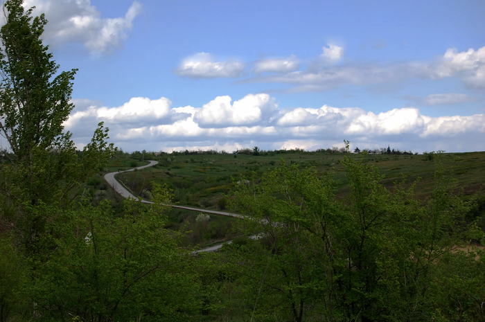 И вот как-то вспомнилось, что мой лучший друг - Дедушка Гриша, называл меня Лисёнком)