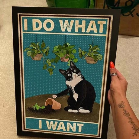 Memes in English Telegram (),  ,  , ,   ,  ,  