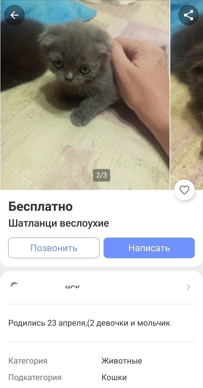    ,  ( ), , 
