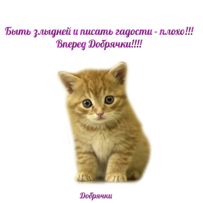       , , ,  ,  
