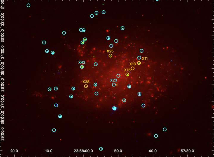   NGC 7793      ! , , , , , , The Spaceway
