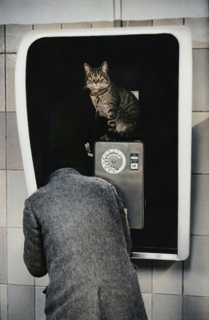 ��������: ������� �����