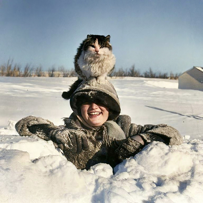 ��������: �.�. ����