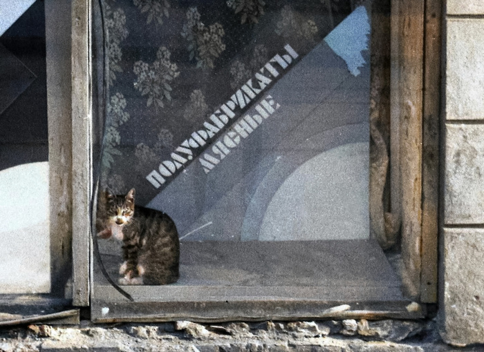 ��������: ������ ���������