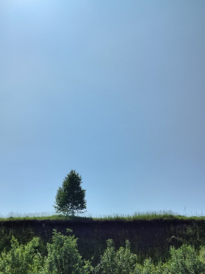 Realme GT 2 PRO в мобильной фотографии. Обе стороны медали Realme, Мобильная фотография, Длиннопост