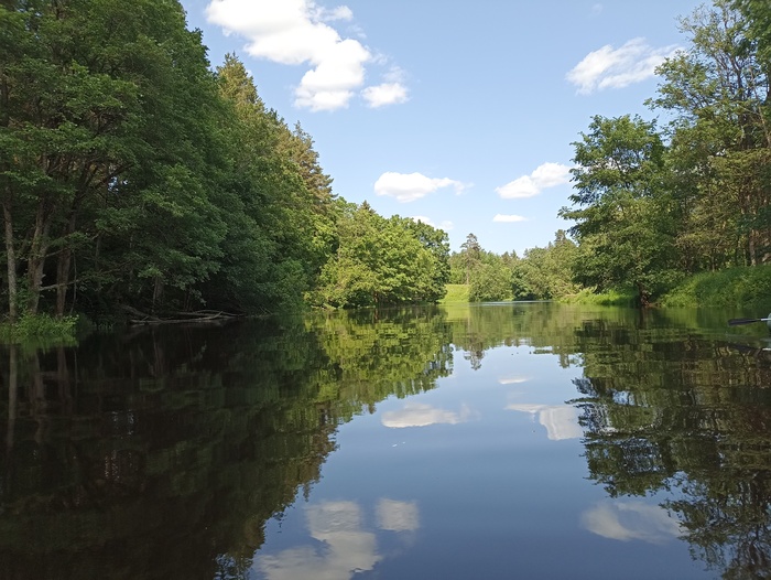 ���� ����