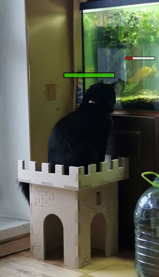  , ! (  ) ,  , ,  ,  ,  , , ,  