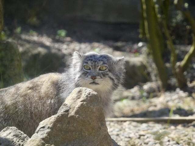      ,  ,  ,  , , , , Reddit (), 