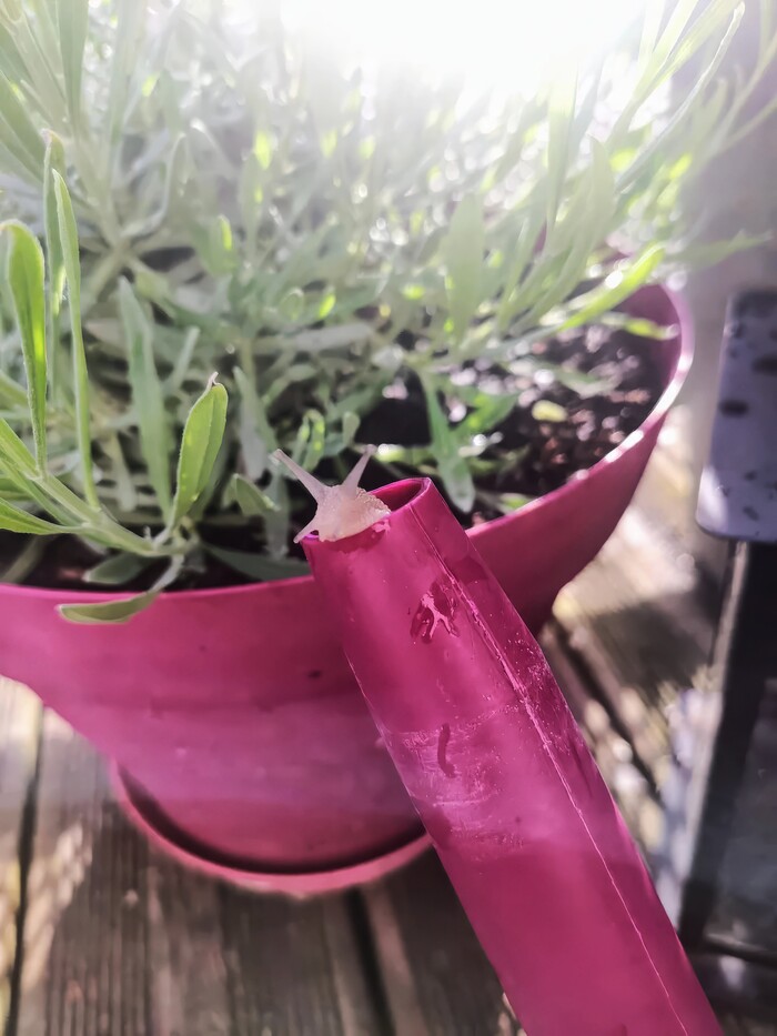 ����� �� ����� ������� �������, �� ����� �������� ����� ������...