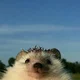 ����� ����� ������ ���� �����������