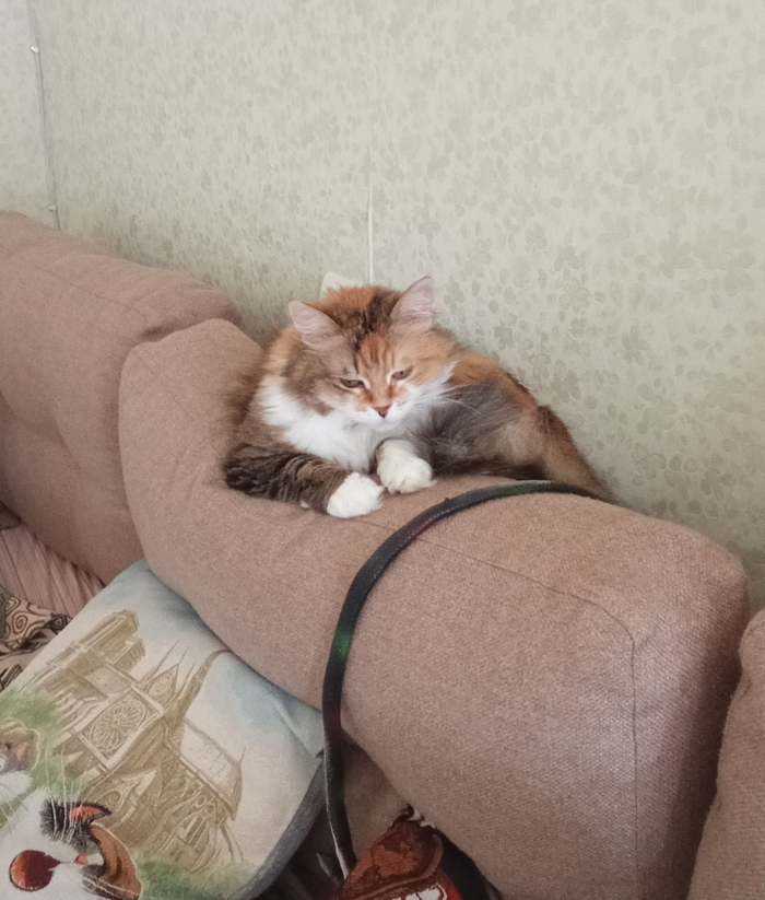     ,  , , , 