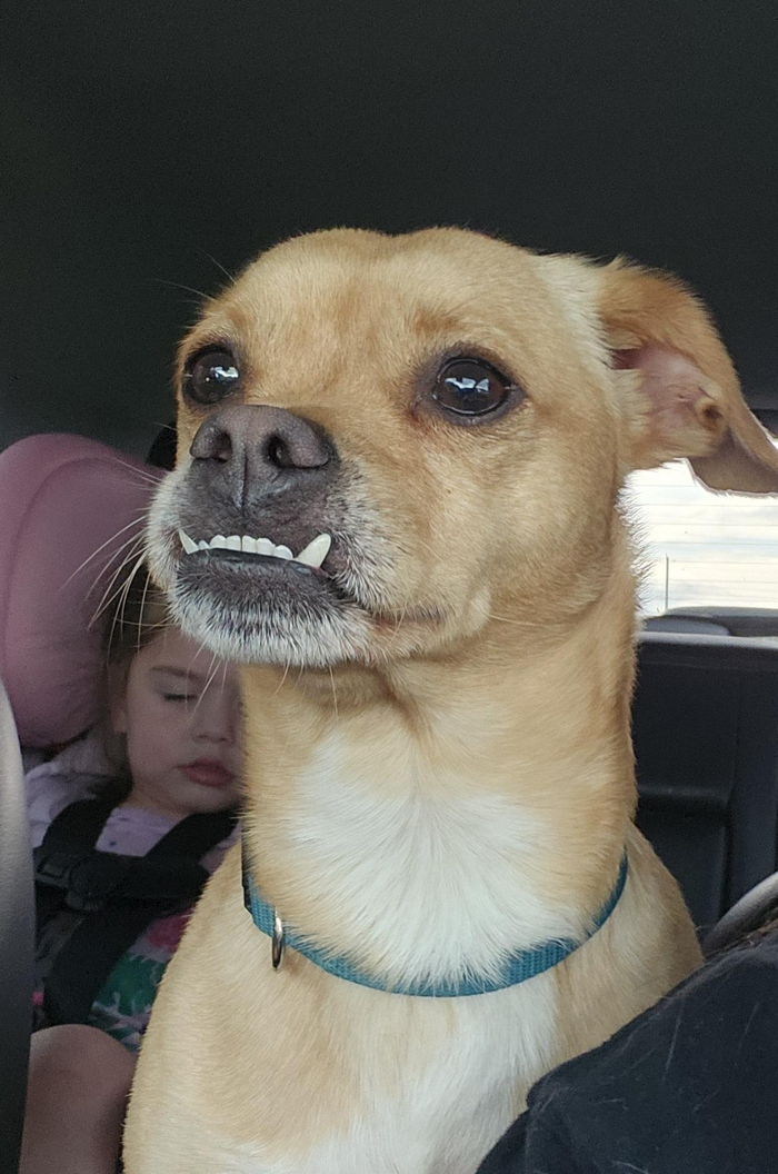   ' , , , , , , 