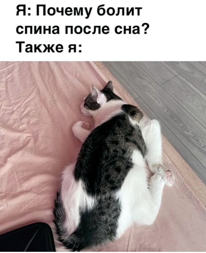    ? ! , , ,  , , , , , ,  , , , 