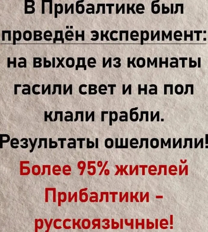 vjqvljwo.webp
