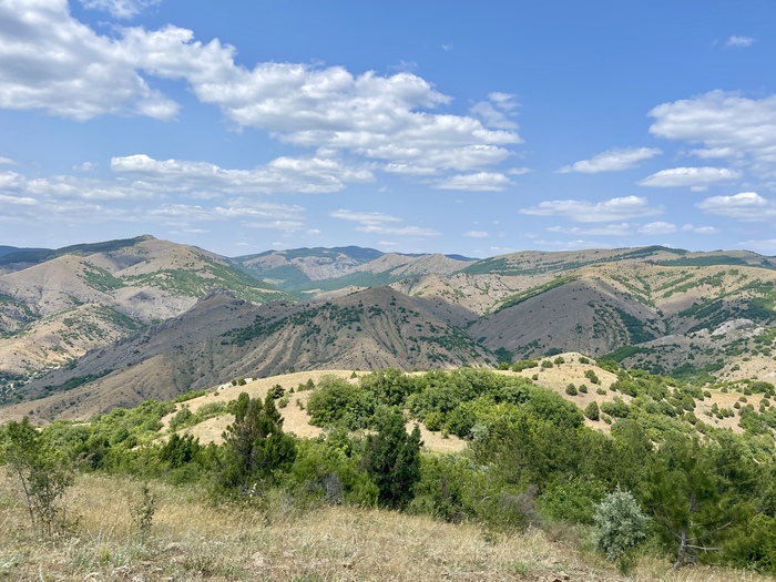 ��� � ������ ����-����